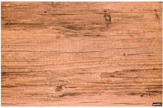 Коврик сервировочный «Elm Shades»