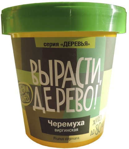 Набор для выращивания «Черёмуха виргинская»