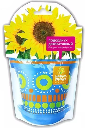 Набор для выращивания «Подсолнух декоративный»