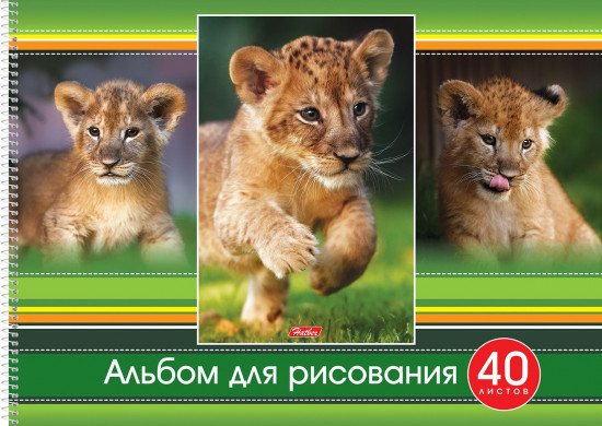 Альбом для рисования «Тигрята» (40 листов на спирали)