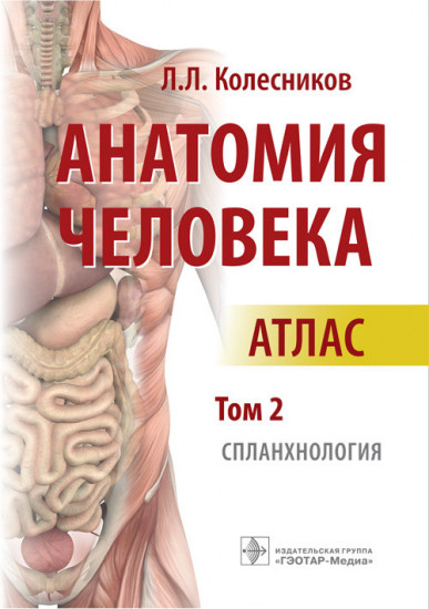 Анатомия человека. Атлас. В 3 томах. Том 2. Спланхнология