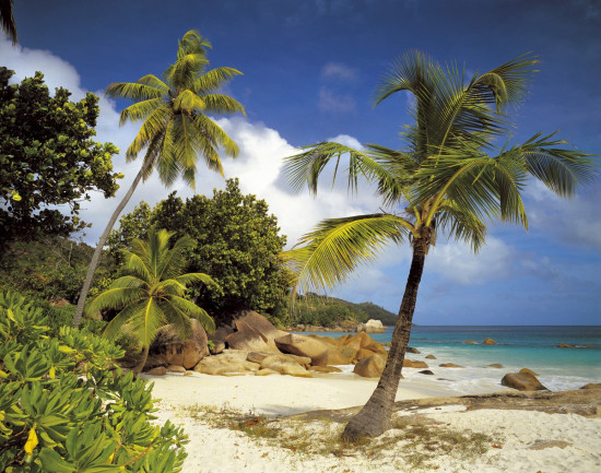 Фотообои «Praslin» (368 х 254 см)