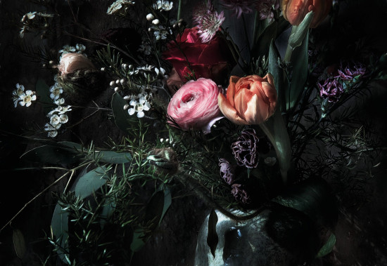 Фотообои «Still Life» (368 х 254 см)