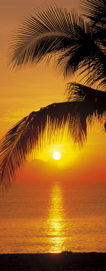 Фотообои «Palmy Beach Sunrise» (92 х 220 см)