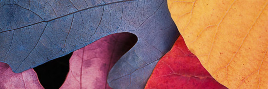 Гель-лак для ногтей «Just wanna autumn», оттенок 24 Темно-синий