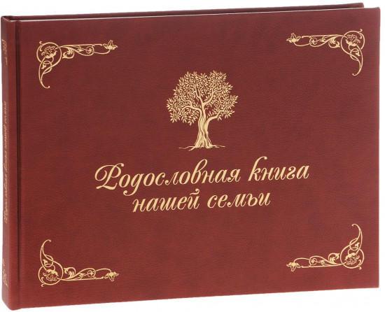 Родословная книга нашей семьи