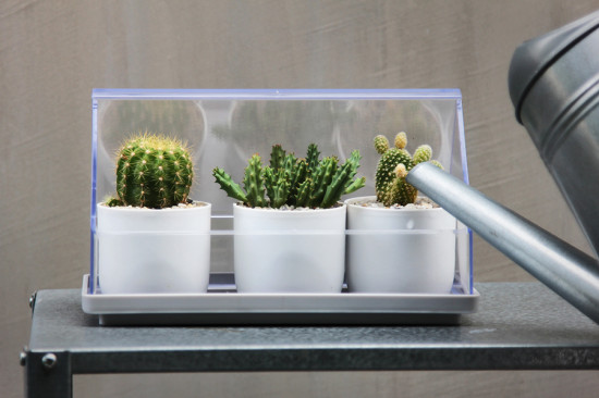 Лоток для выращивания растений Micro Green House