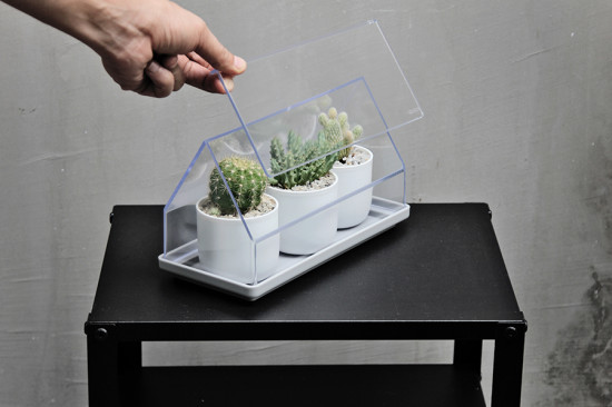 Лоток для выращивания растений Micro Green House