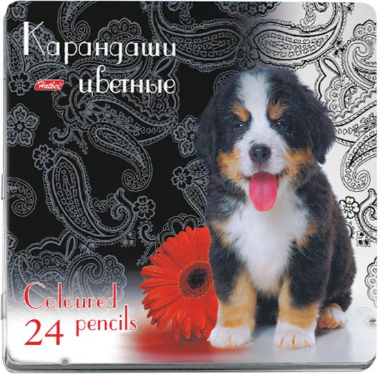 Карандаши цветные «Щенок», 24 цвета