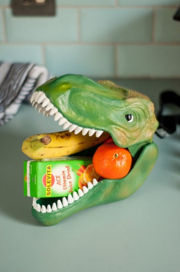Бокс для хранения «Dinosaur»