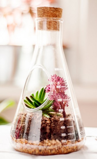 Террариум «Chemistry»