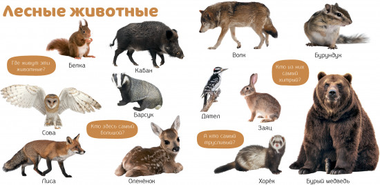 Познаем мир вместе. Мои первые фотокниги. Изучаем мир