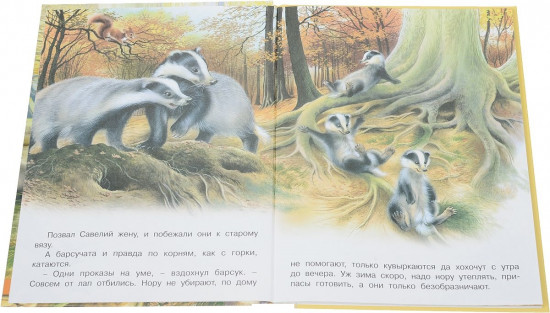Непослушные Барсучата