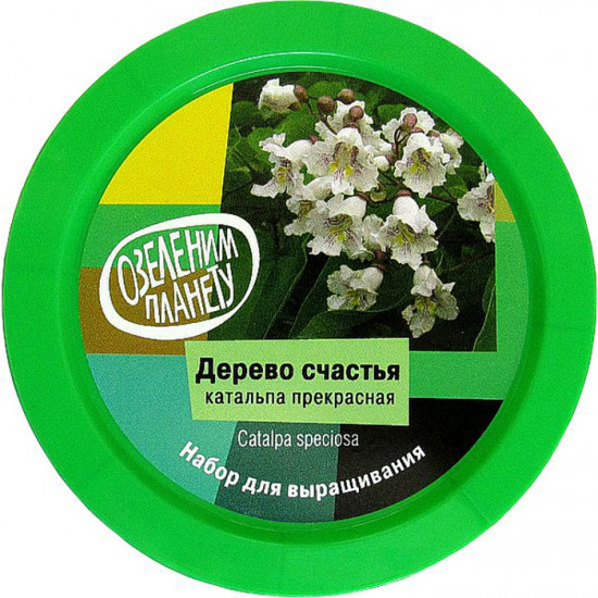 Набор для выращивания «Катальпа прекрасная»