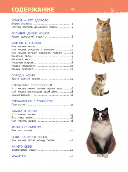 Кошки и котята. Энциклопедия для детского сада