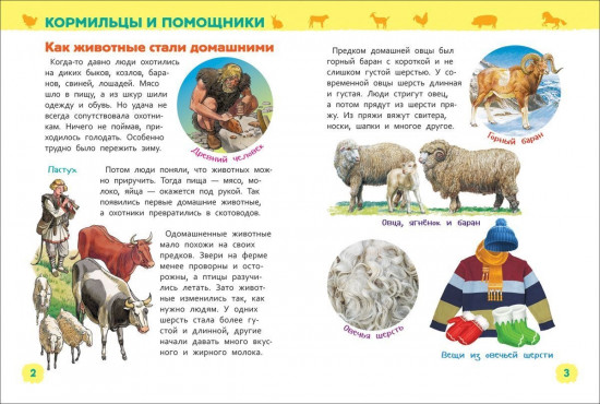 Животные фермы. Энциклопедия для детского сада