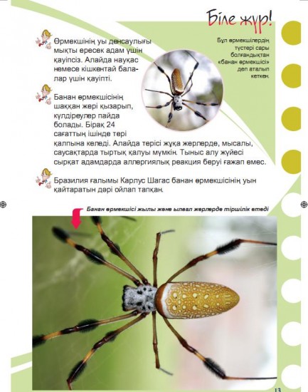Улы жәндіктер