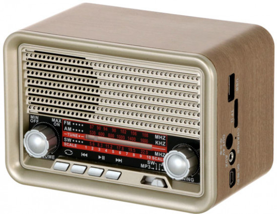 Радиоприемник портативный Ritmix RPR-030