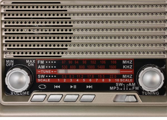 Радиоприемник портативный Ritmix RPR-030