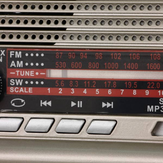 Радиоприемник портативный Ritmix RPR-030