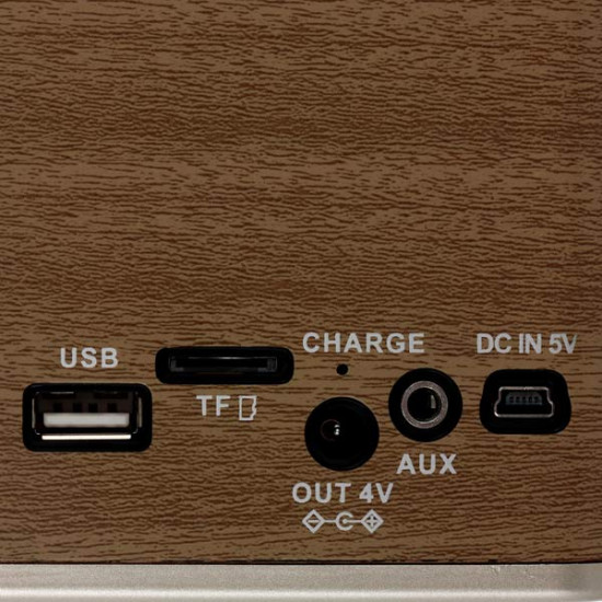 Радиоприемник портативный Ritmix RPR-030
