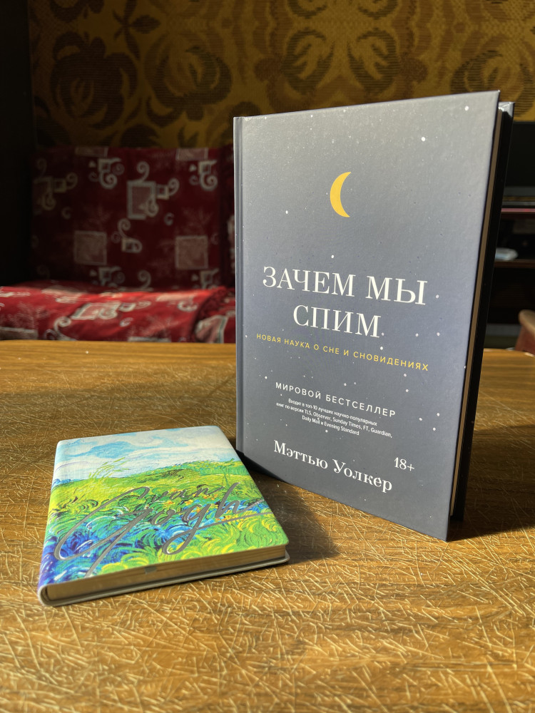 Зачем мы спим. Новая наука о сне и сновидениях — Научный интерес ...