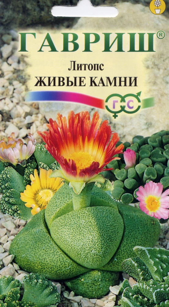 Семена. Литопс «Живые Камни» (пробирка) — Альпийская горка — Гавриш ...