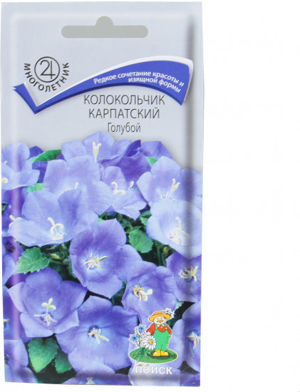 Кампанула Семена Купить В Интернет Магазине