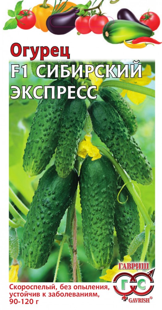 Семена. Огурец « F1 Сибирский экспресс», 10 шт — Купить за 122 тг.